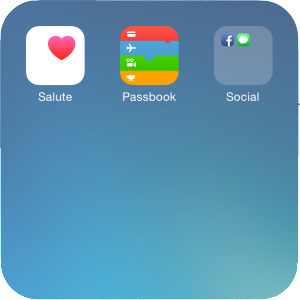 Cartella nella cartella iOS 8 004